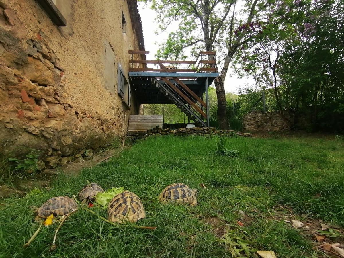 Gite Du Fassac Saint-Julien-du-Puy Kültér fotó